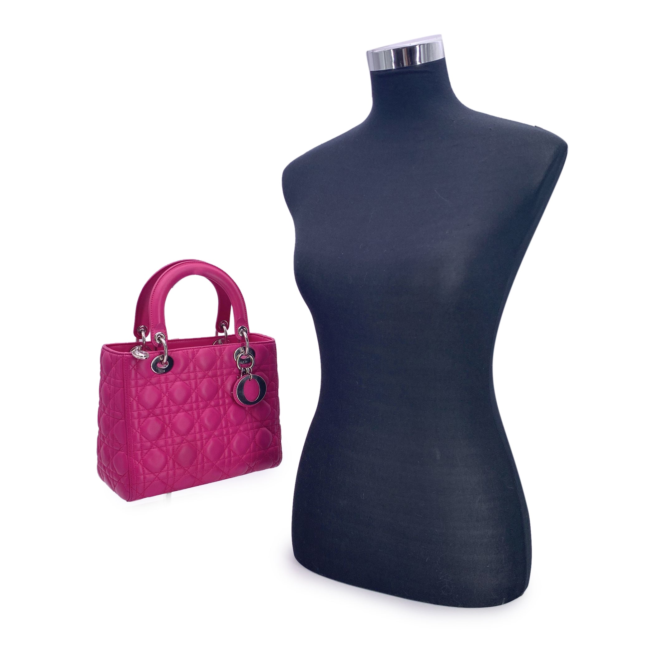 DIOR Totes Lady Dior