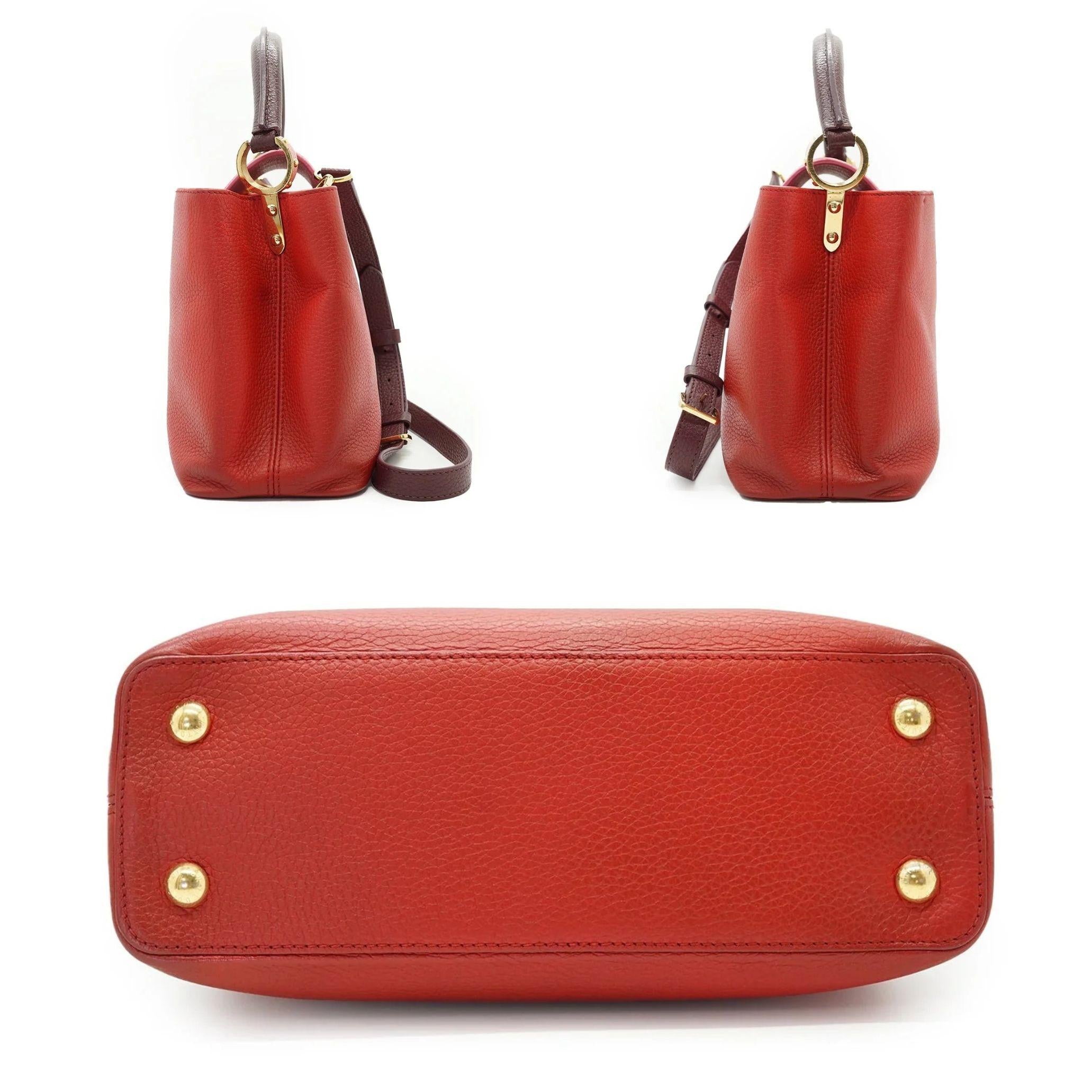 Louis Vuitton Capucines Handbags