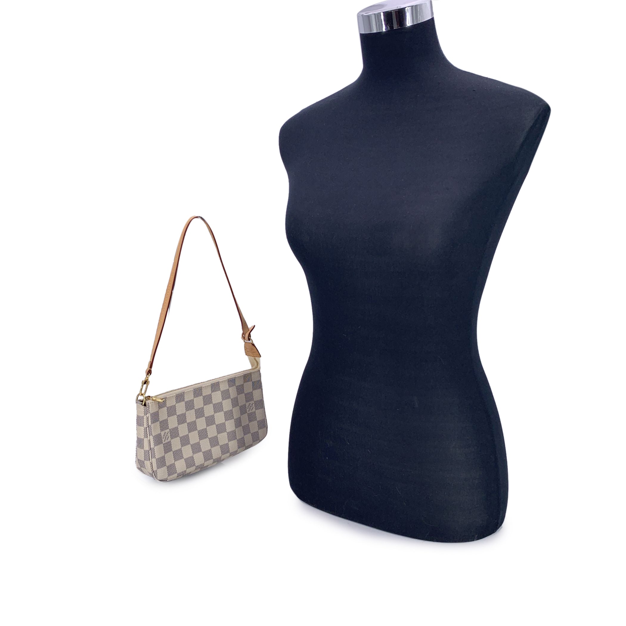 LOUIS VUITTON Clutches Pochette Accessoire