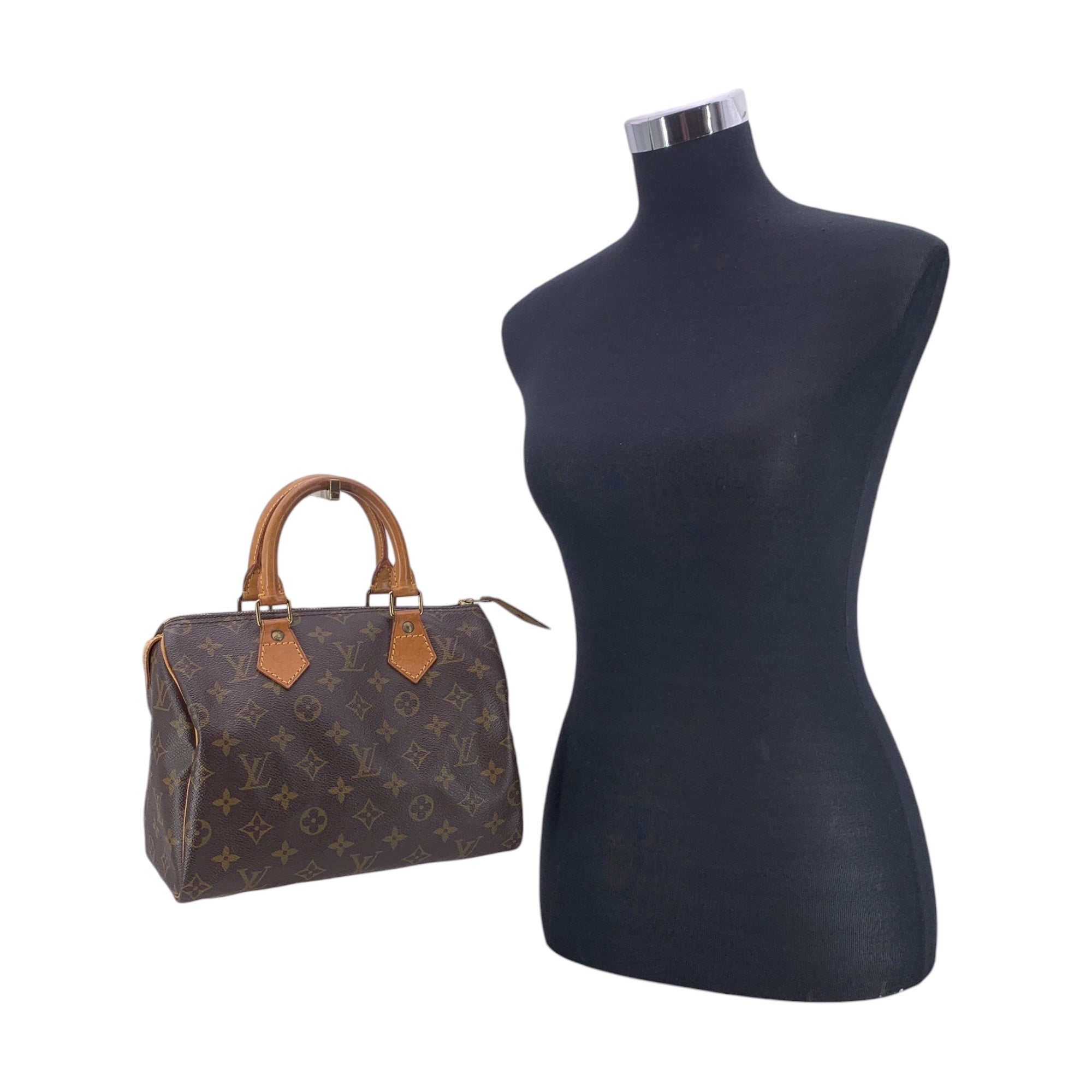 Louis Vuitton Speedy Handbags
