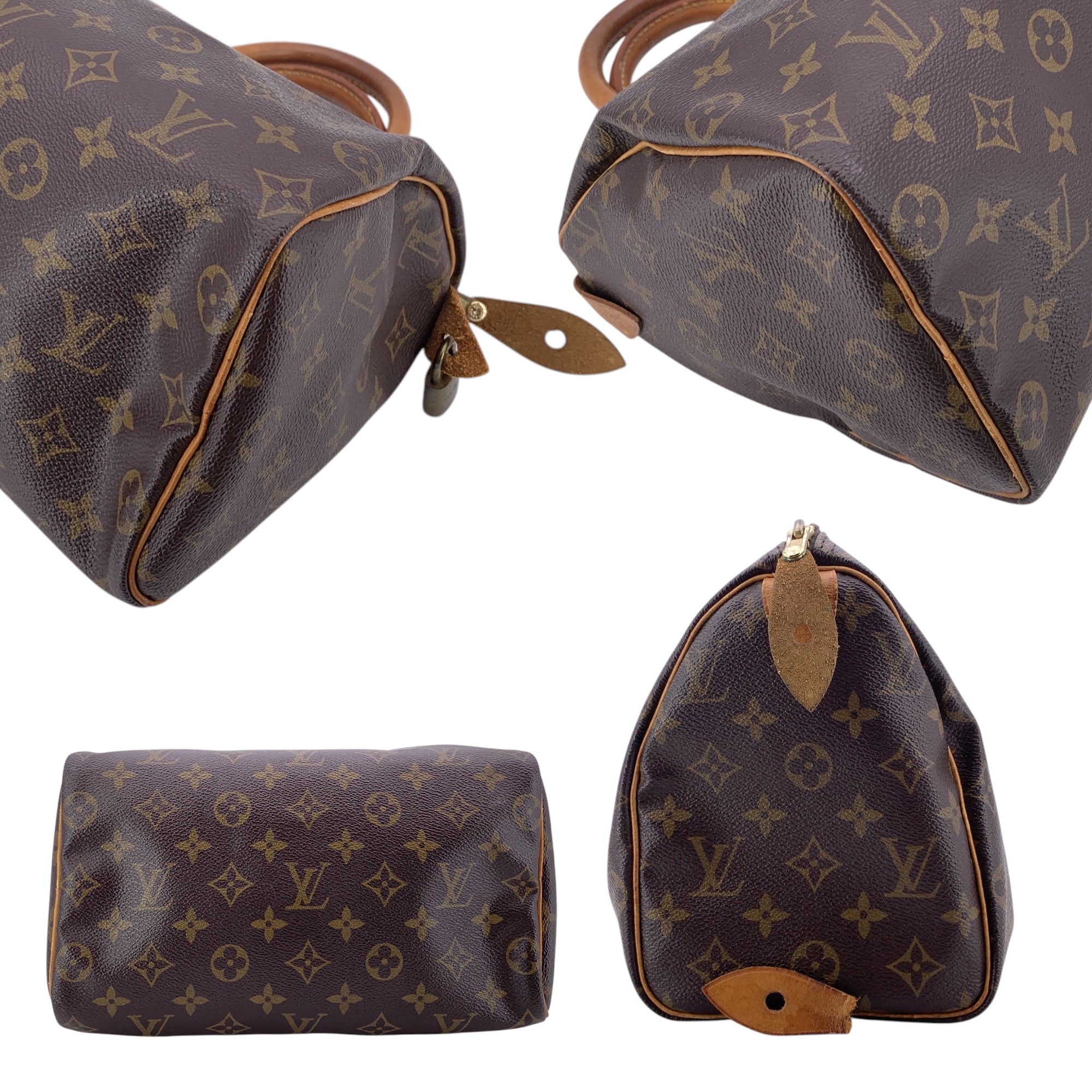 Louis Vuitton Speedy Handbags