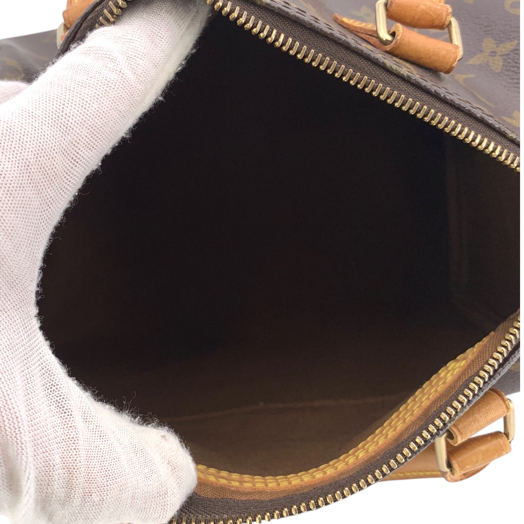 Louis Vuitton Speedy Handbags