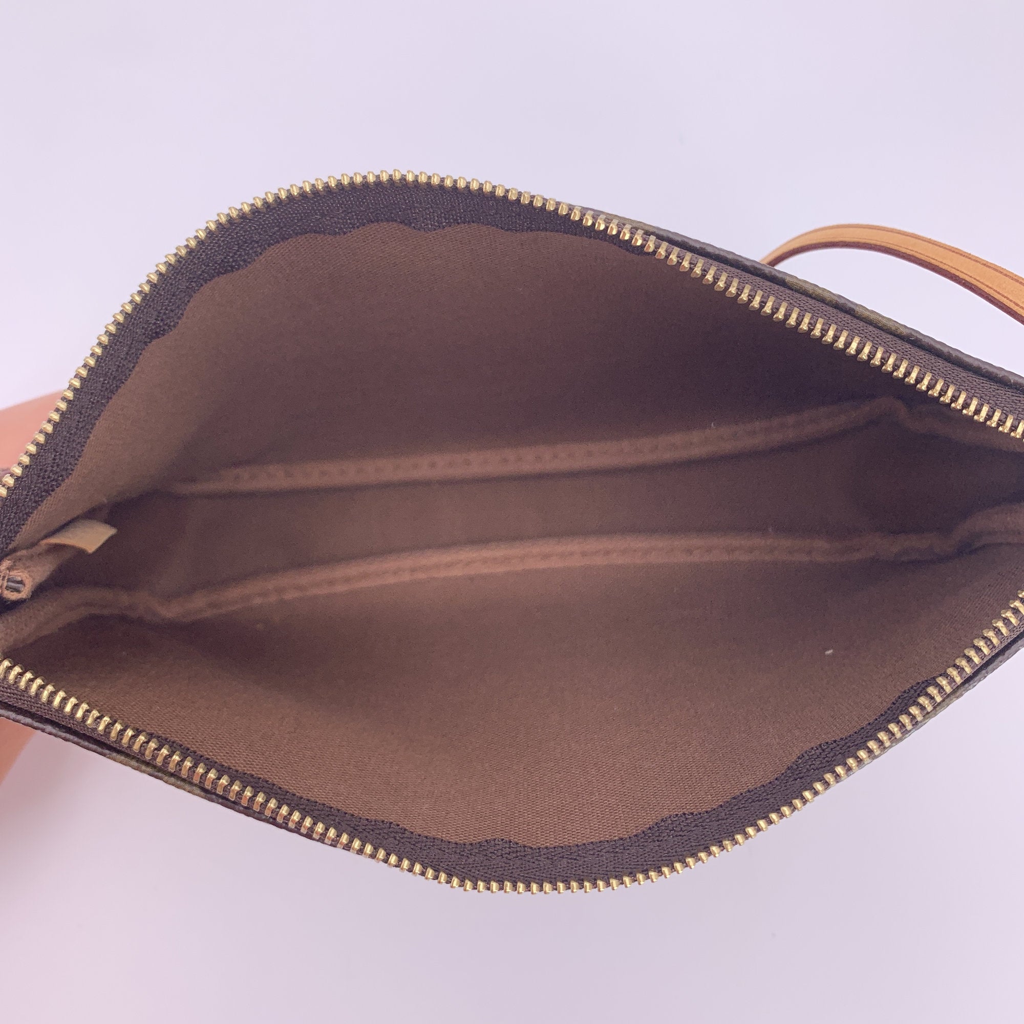 Louis Vuitton Pochette Accessoire Handbags