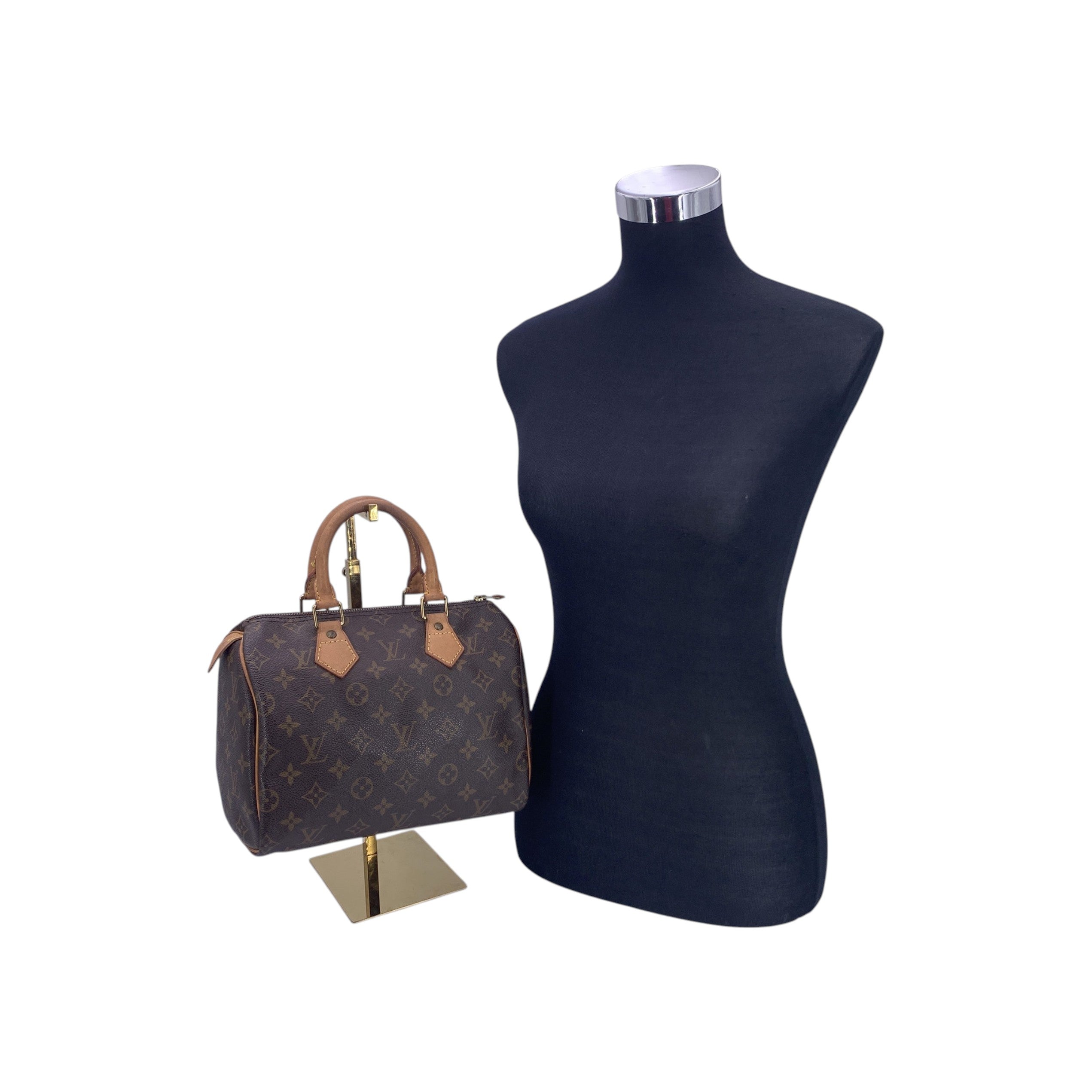 Louis Vuitton Speedy Handbags