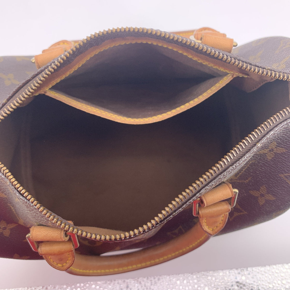 Louis Vuitton Speedy Handbags