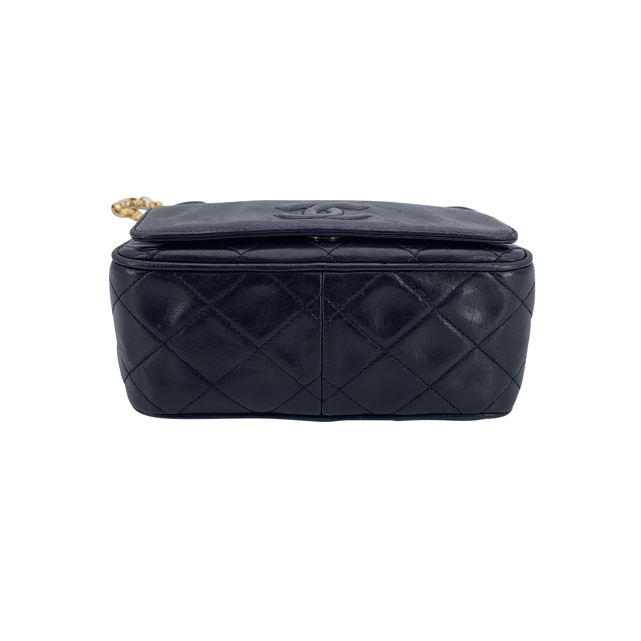 CHANEL Crossbody Bags Camera