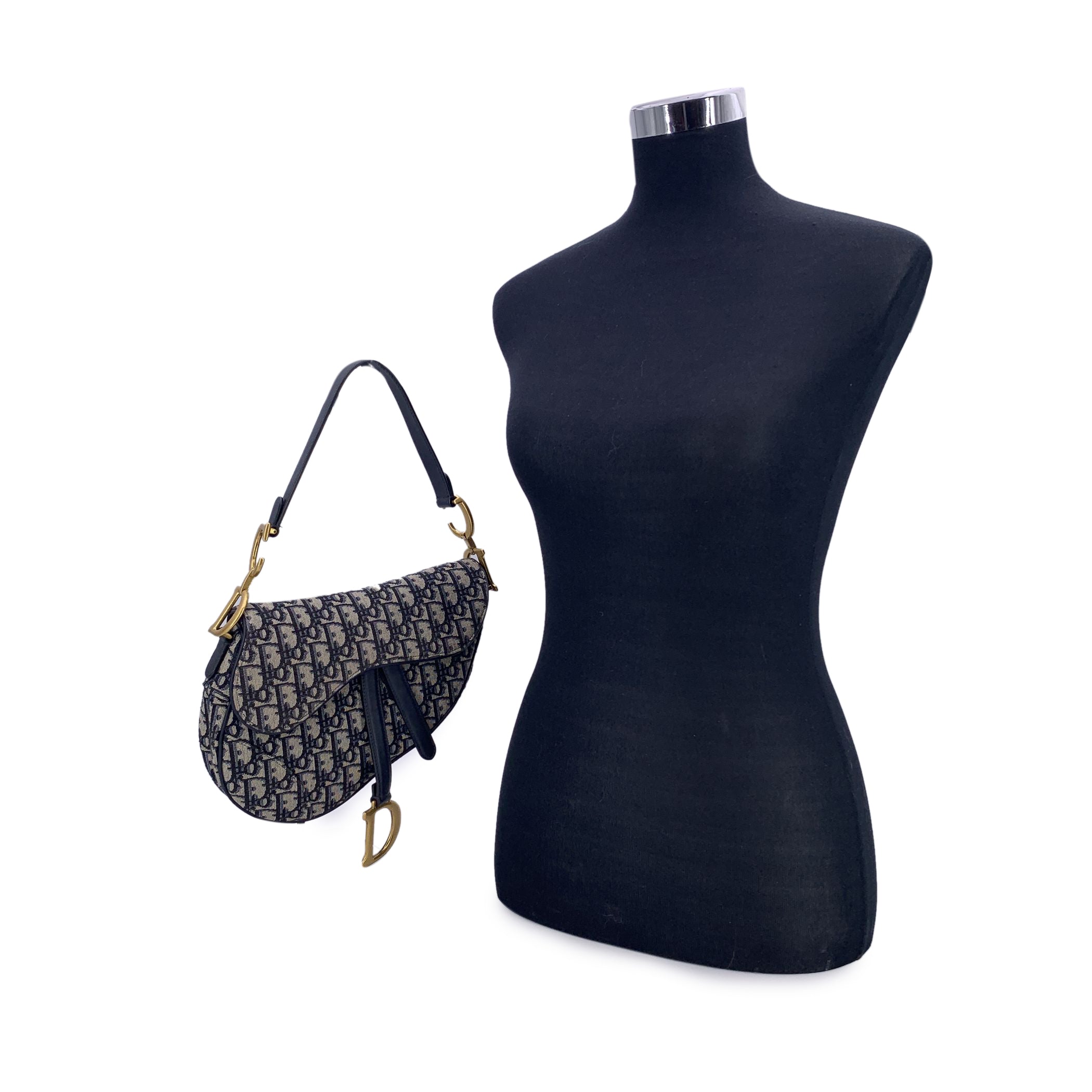 DIOR Shoulder Bags Saddle