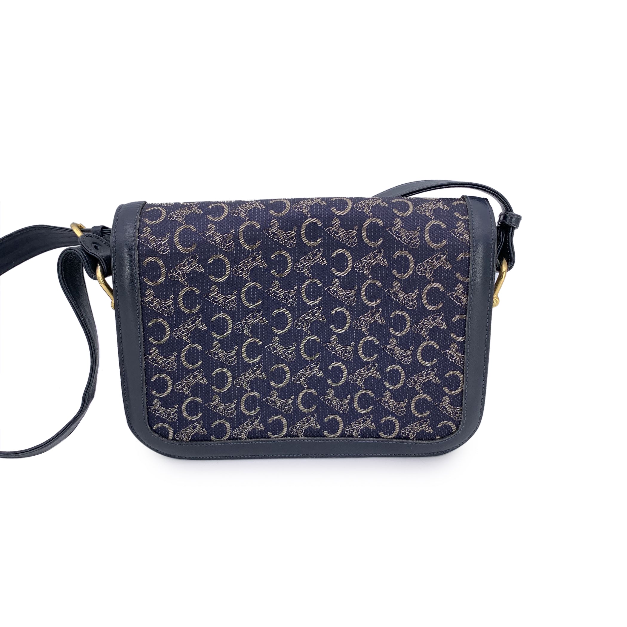 CELINE Shoulder Bags Clasp box