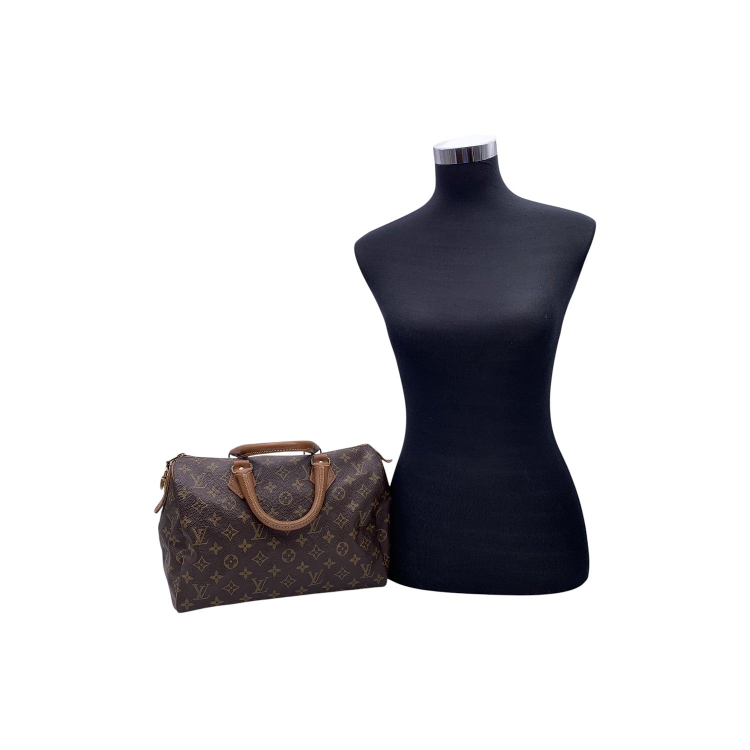 Louis Vuitton Speedy Handbags